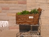 cart-pic cart-pic